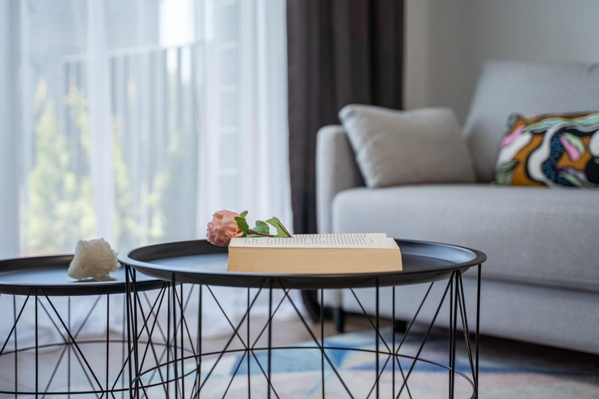 Lazdyneliu Vingis, Free Underground Parking, Long Welcome Apartment Vilnius